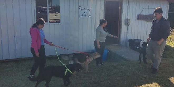 En Quiquel mascotas serán esterilizadas