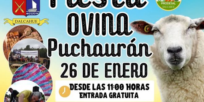 Dalcahue celebra la Fiesta Ovina en Puchaurán